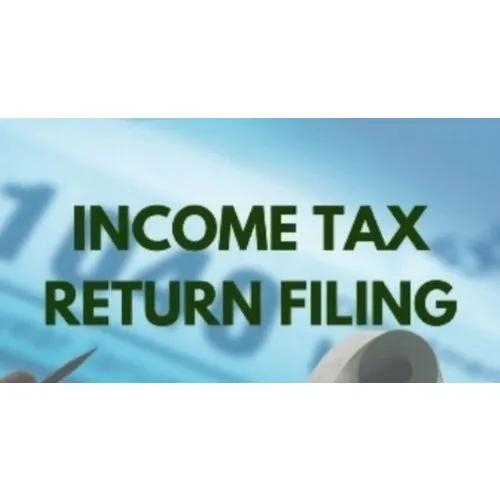 Income Tax Filing Service