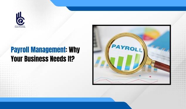 Payroll Management: Why Your Business Needs It?