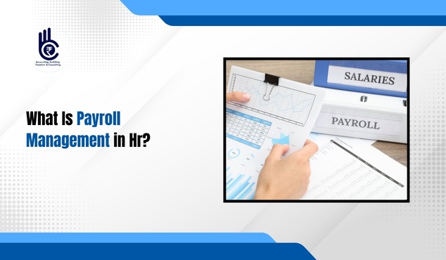 What Is Payroll Management in Hr?