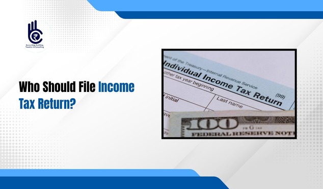 Who Should File Income Tax Return?